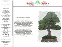 Tablet Screenshot of bonsaigallery.hu